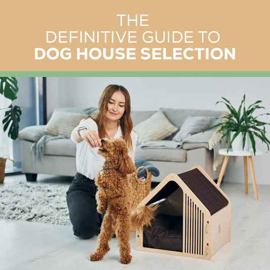 The Definitive Guide to Dog House Selection