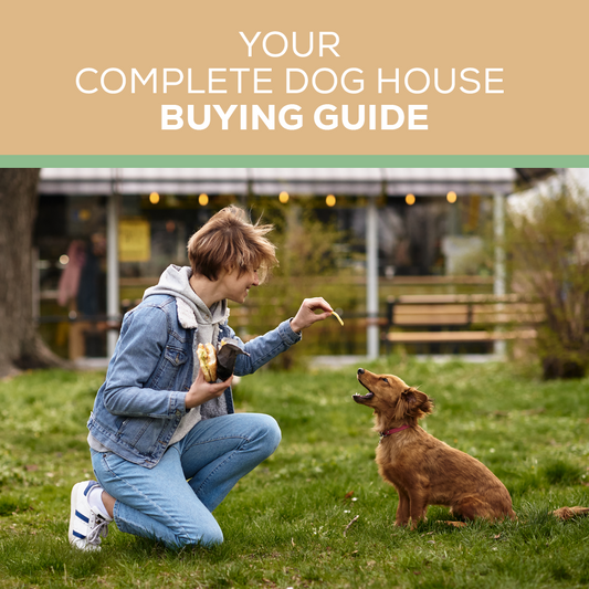 Your Complete Dog House Buying Guide