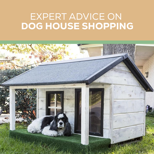 Expert Advice on Dog House Shopping