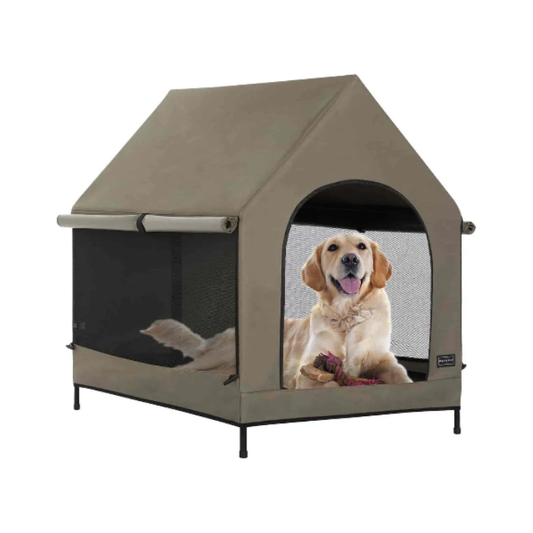 Dog House