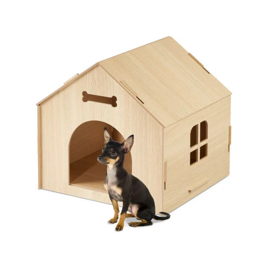 Indoor Dog House