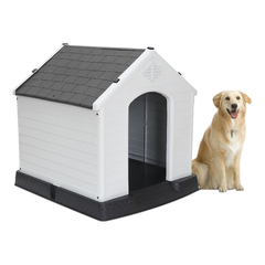 Dog House