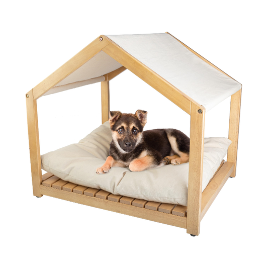 Dog Kennel